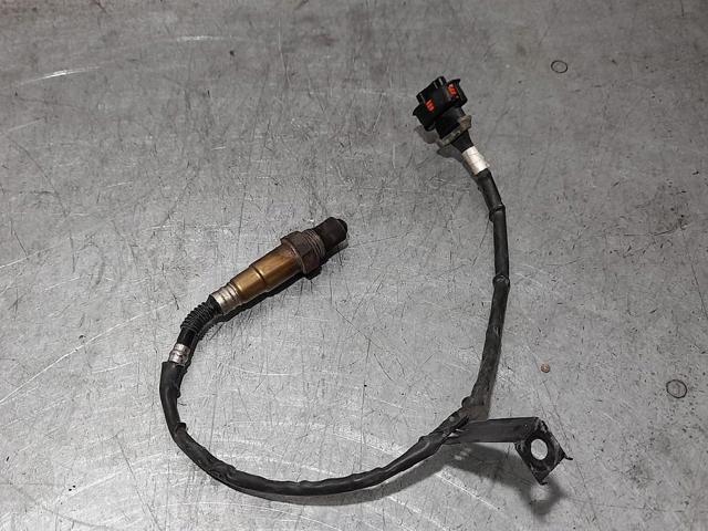 55562205 Opel