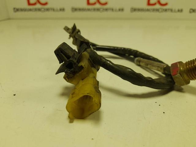 55571362 Opel