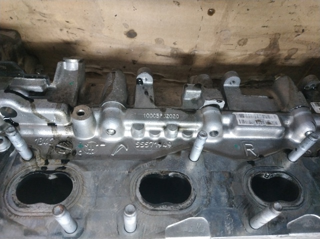 Głowica cylindrów 55571949 OPEL