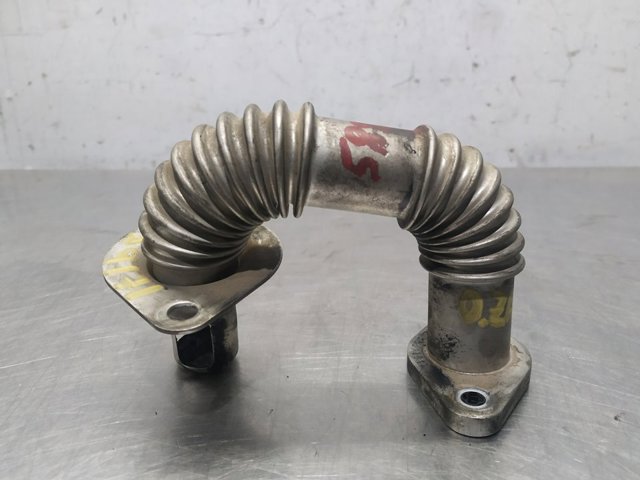 55574012 Opel