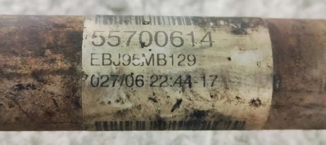 55700614 Fiat/Alfa/Lancia