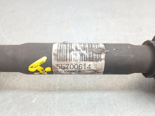 55700614 Fiat/Alfa/Lancia