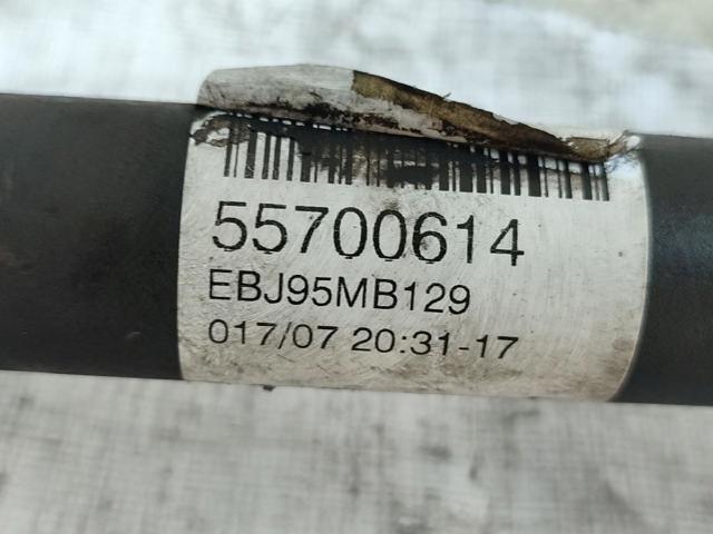 55700614 Fiat/Alfa/Lancia