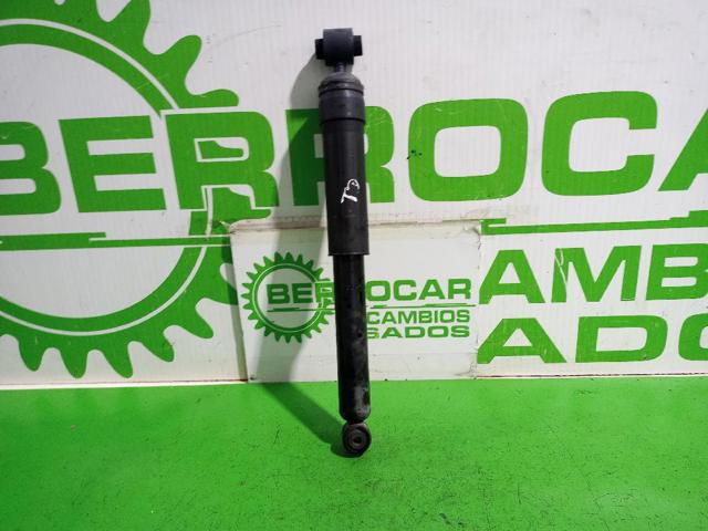 562100007R Renault (RVI)