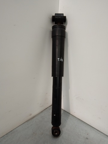 562100033R Renault (RVI)