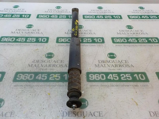 562106313R Renault (RVI)