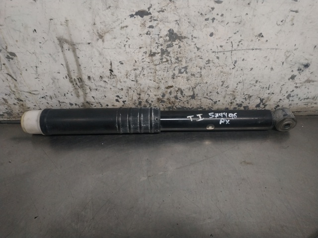 562109815R Renault (RVI)
