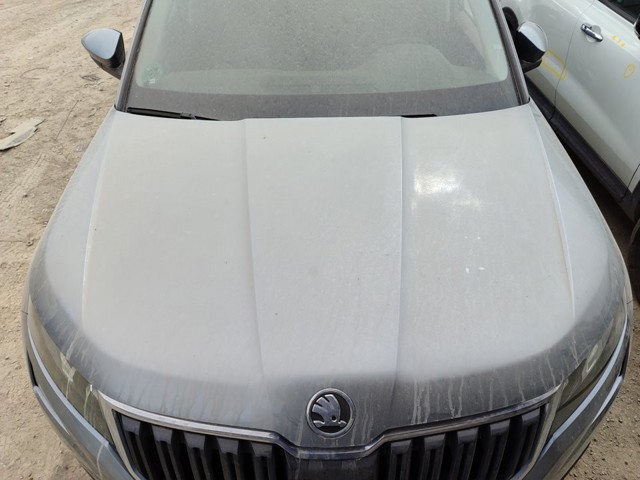 Kupić  Kodiaq  NS6, NS7, NV7