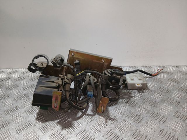 598138 Peugeot/Citroen