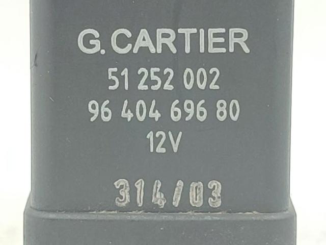 598138 Peugeot/Citroen