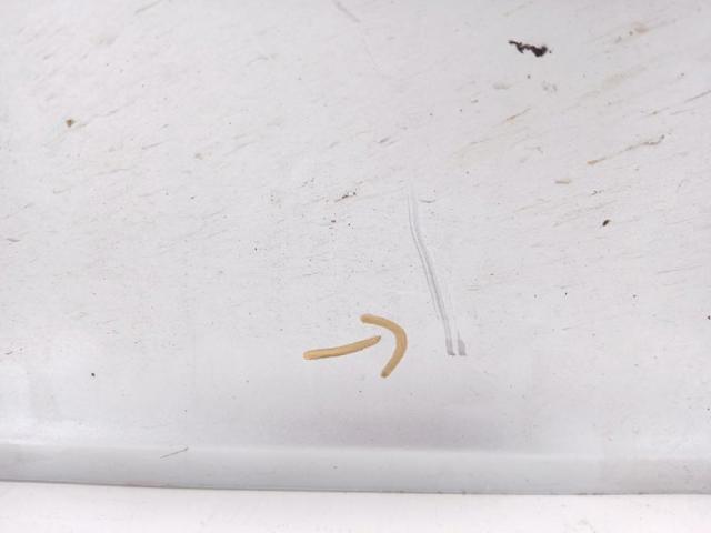 Drzwi przednie lewe Skoda Yeti 5L, 5L1, 5L2, 5L6, 5L7