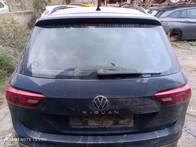 Drzwi Volkswagen Tiguan