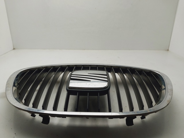 Atrapa chłodnicy 5P0853654 VAG