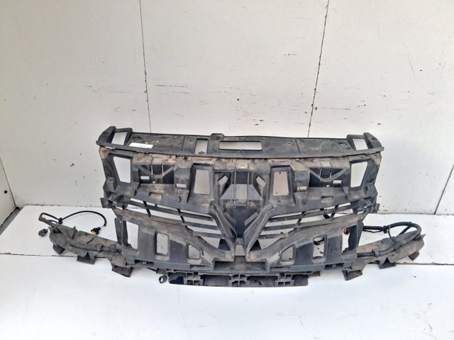 Kupić Atrapa chłodnicy Renault Scenic III JZ0, JZ1 w dobrej cenie