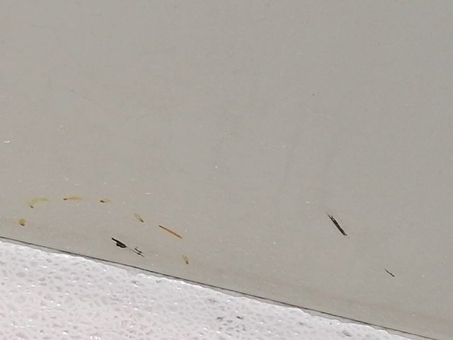 Drzwi tylne lewe SsangYong Rexton