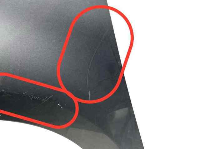 Błotnik przedni lewy 631017581R RENAULT