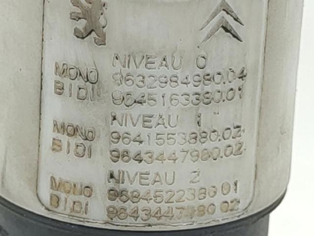 643476 Peugeot/Citroen