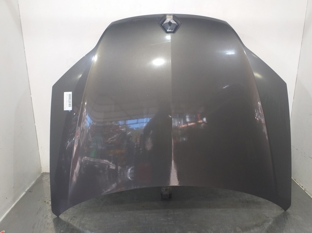Maska silnika 651000021R RENAULT