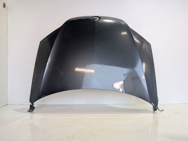 Maska silnika 651000021R RENAULT