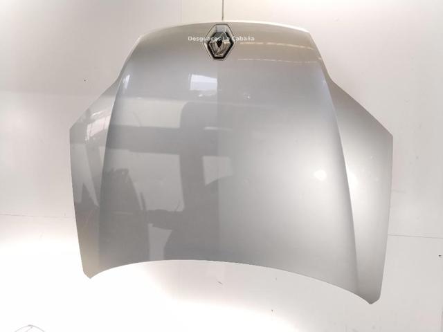 651000021R Renault (RVI)