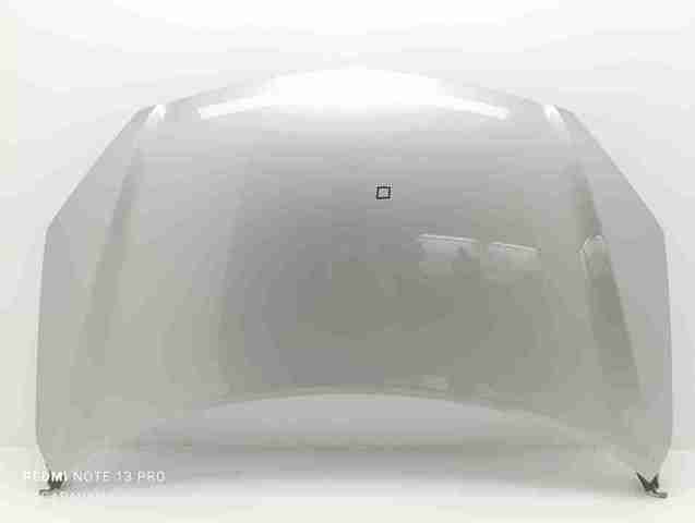 651000024R Renault (RVI)