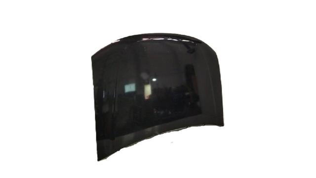 651000987R Renault (RVI)