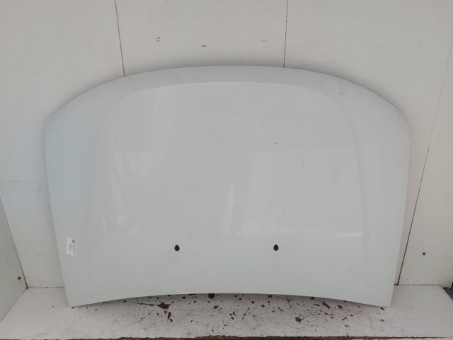 Maska silnika 651000987R RENAULT