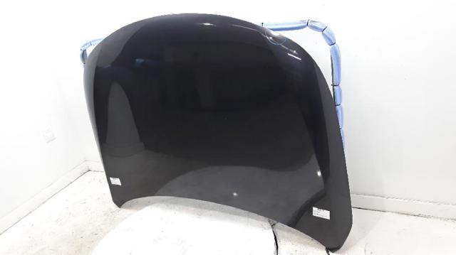 Maska silnika Renault Latitude L7