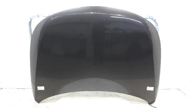 Maska Renault Latitude