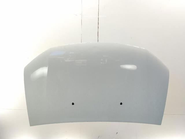 651001918R Renault (RVI)