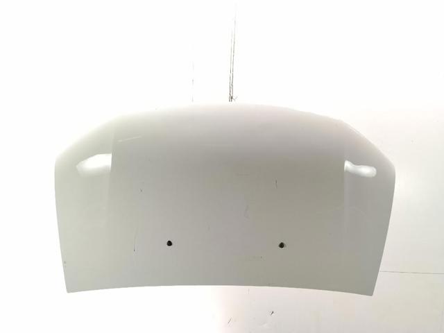 651001918R Renault (RVI)
