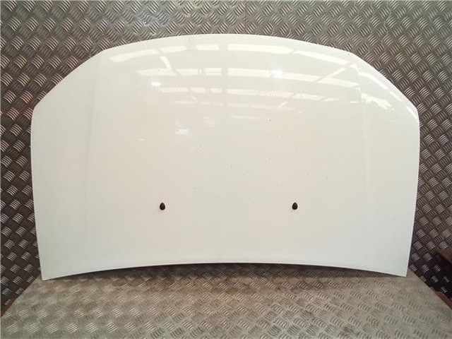 Maska silnika 651001918R RENAULT