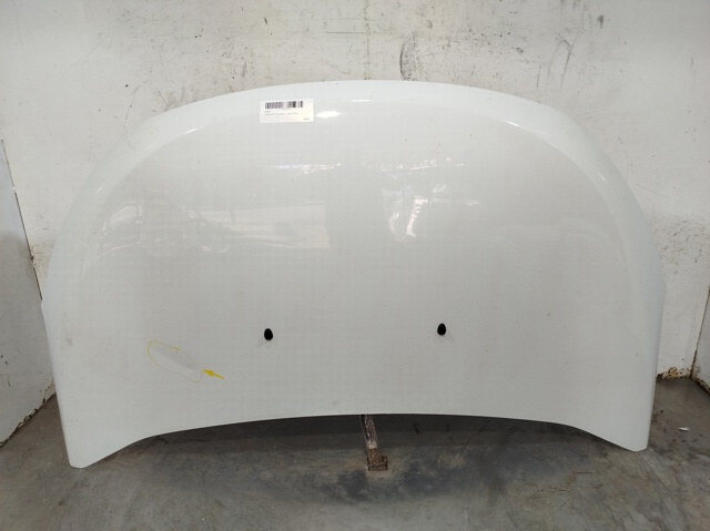 Maska silnika 651007793R RENAULT