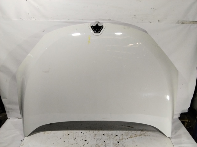 Maska silnika 651009018R RENAULT