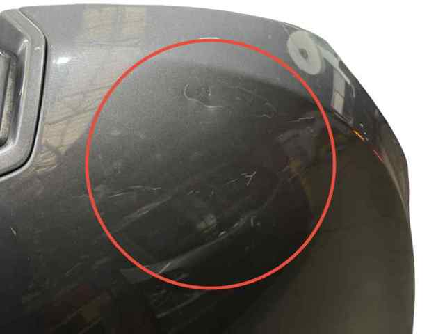 651009018R Renault (RVI)