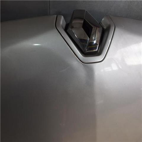 651009018R Renault (RVI)