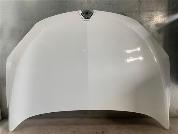 Maska silnika 651009018R RENAULT