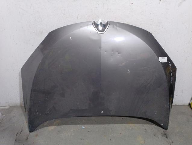 651009018R Renault (RVI)