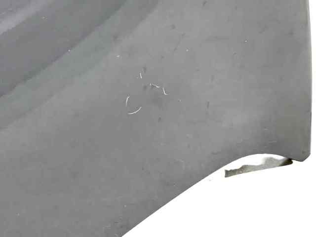 651009018R Renault (RVI)