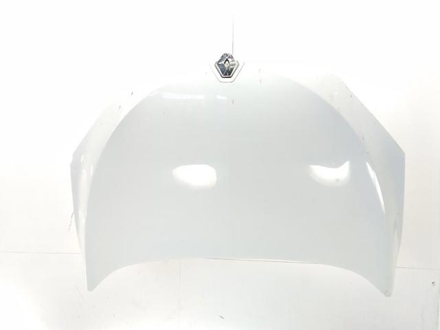 651009018R Renault (RVI)