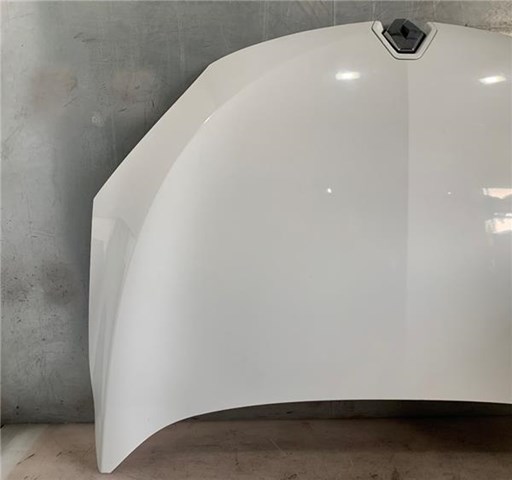 651009018R Renault (RVI)