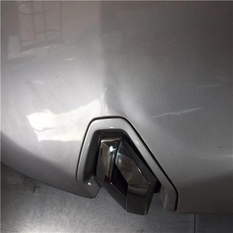 651009018R Renault (RVI)