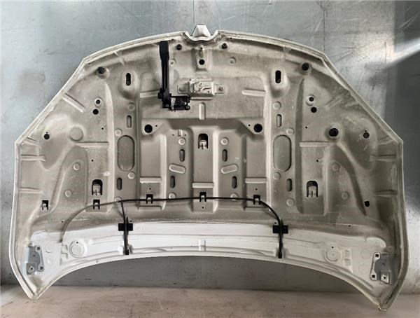 651009018R Renault (RVI)