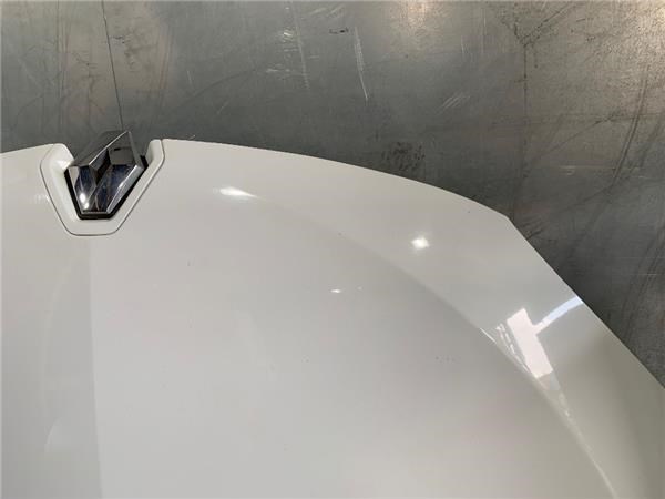 651009018R Renault (RVI)