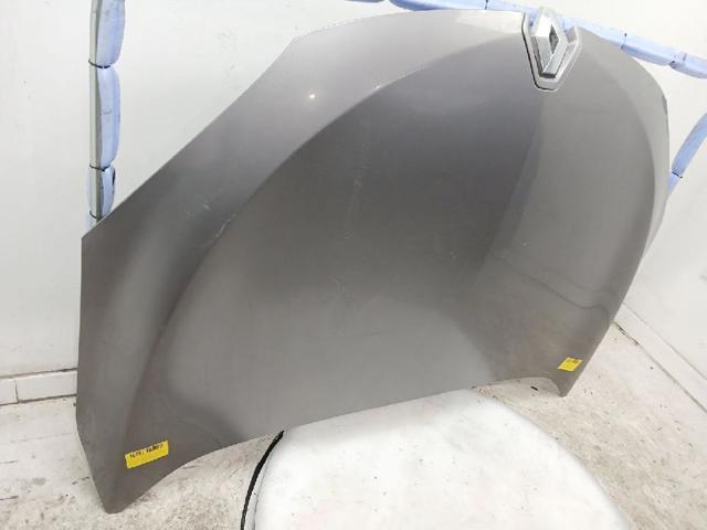 651009018R Renault (RVI)