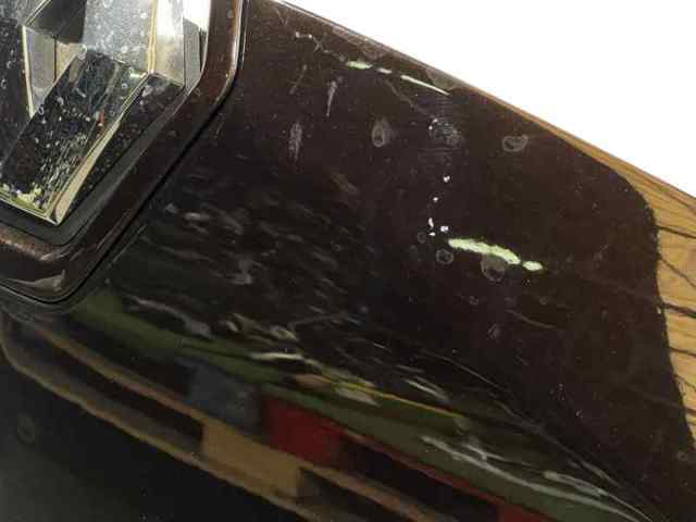 651009018R Renault (RVI)