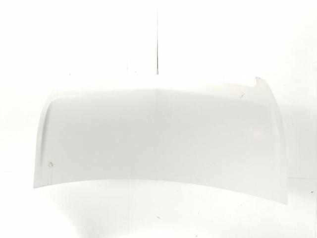 651009963R Renault (RVI)