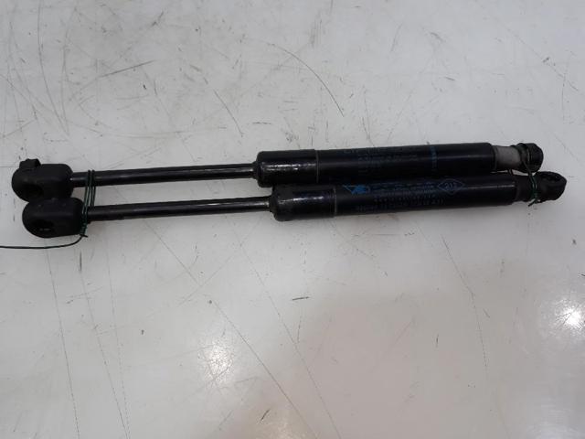 Amortyzator maski 654700008R RENAULT