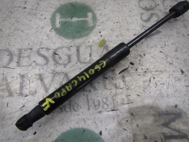 654700008R Renault (RVI)