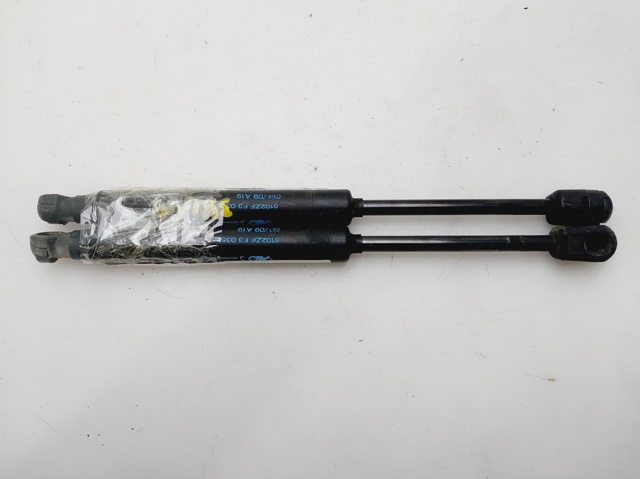Amortyzator maski 654700008R RENAULT
